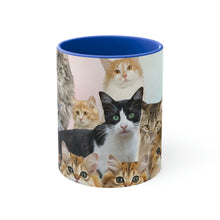Load image into Gallery viewer, Cat Lover's Delight  - 11oz {Navy Blue/Red/Pink/Green}  |Cats and Kittens