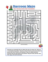 Load image into Gallery viewer, Printable Raccoon Maze ('Easy') - 1 page in color, 1 page B&W, 1 Answer Key - 8.5" x 11" - Fun Printable Maze For Kids