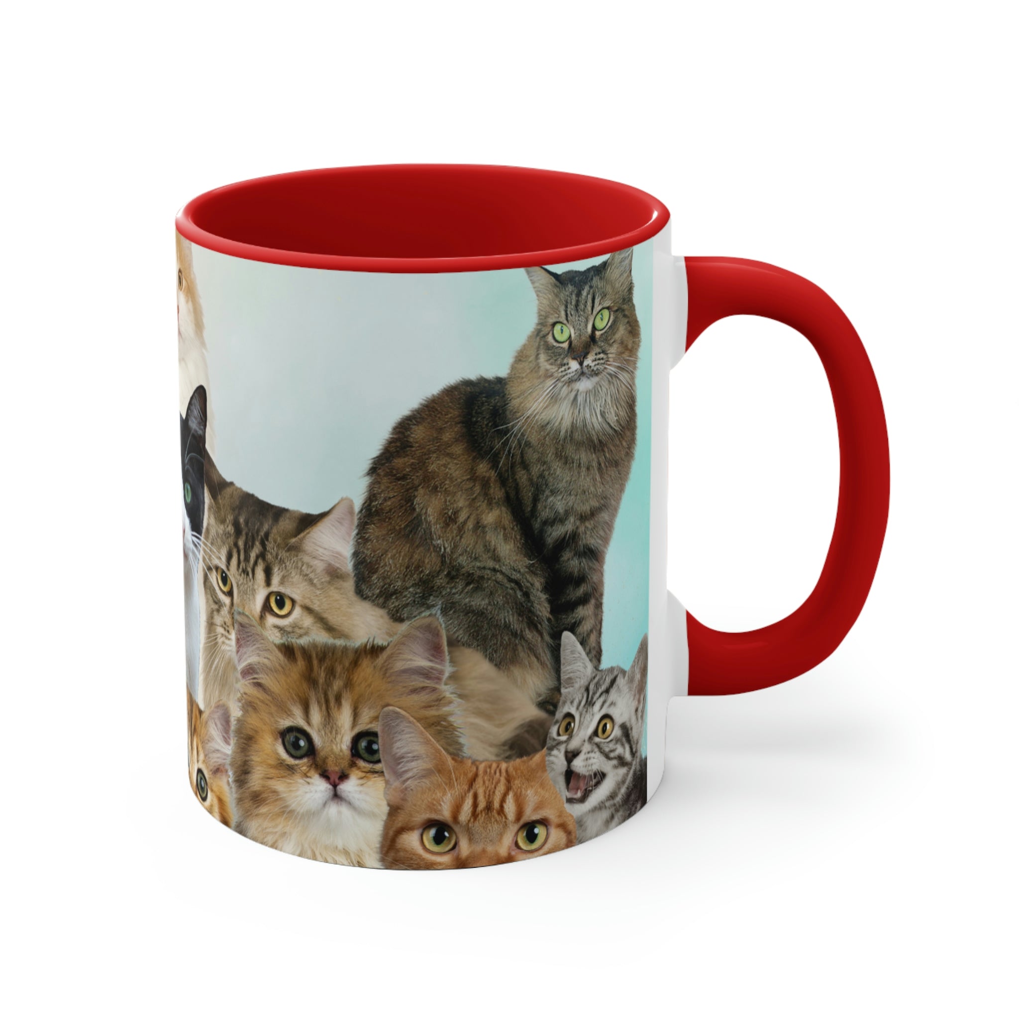 Cat Lover's Delight  - 11oz {Navy Blue/Red/Pink/Green}  |Cats and Kittens