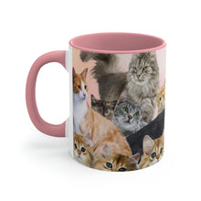 Load image into Gallery viewer, Cat Lover&#39;s Delight  - 11oz {Navy Blue/Red/Pink/Green}  |Cats and Kittens
