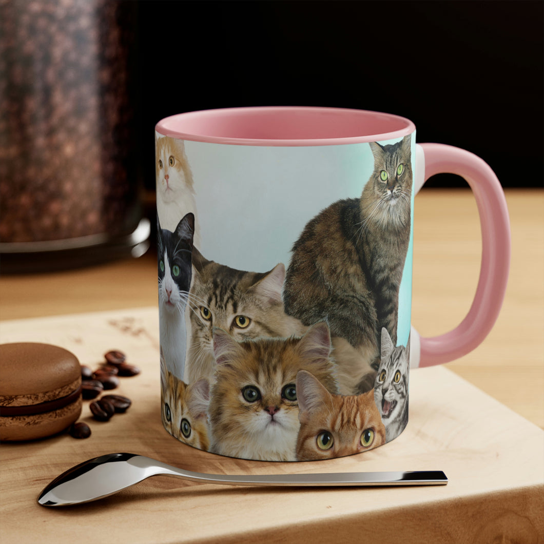 Cat Lover's Delight  - 11oz {Navy Blue/Red/Pink/Green}  |Cats and Kittens