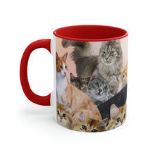 Load image into Gallery viewer, Cat Lover&#39;s Delight  - 11oz {Navy Blue/Red/Pink/Green}  |Cats and Kittens
