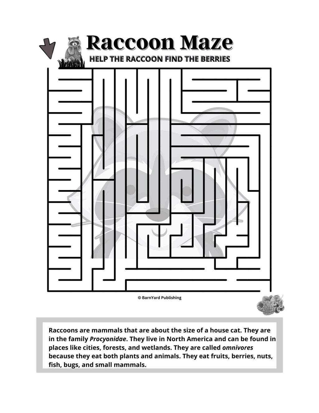Printable Raccoon Maze ('Easy') - 1 page in color, 1 page B&W, 1 Answer Key - 8.5" x 11" - Fun Printable Maze For Kids