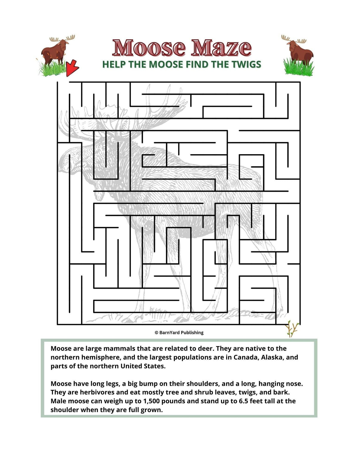 Printable  Moose Maze (Difficulty: Regular) - 1 page in color, 1 page B&W, 1 Answer Key - 8.5" x 11" - Fun Printable Maze For Kids!