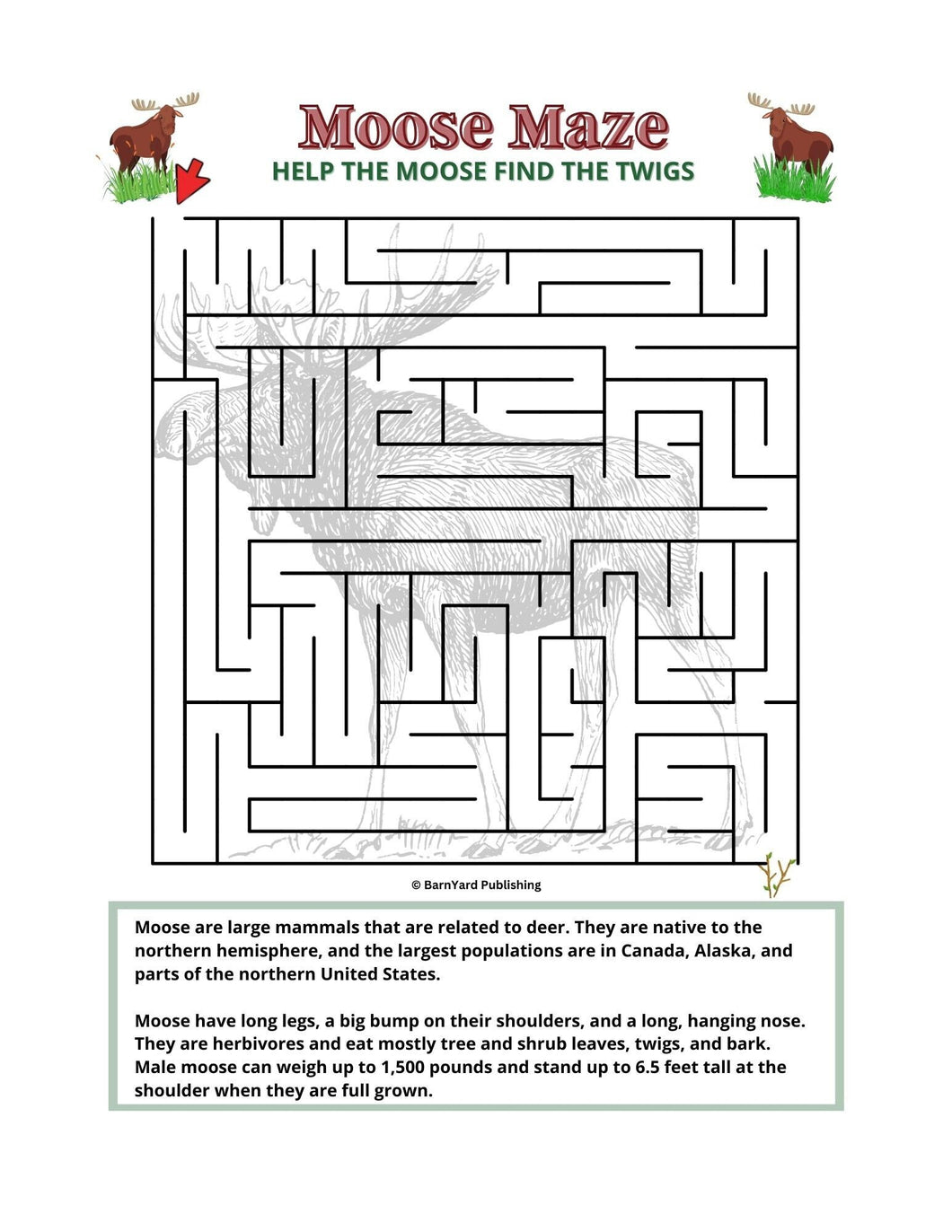 Printable  Moose Maze (Difficulty: Regular) - 1 page in color, 1 page B&W, 1 Answer Key - 8.5" x 11" - Fun Printable Maze For Kids!
