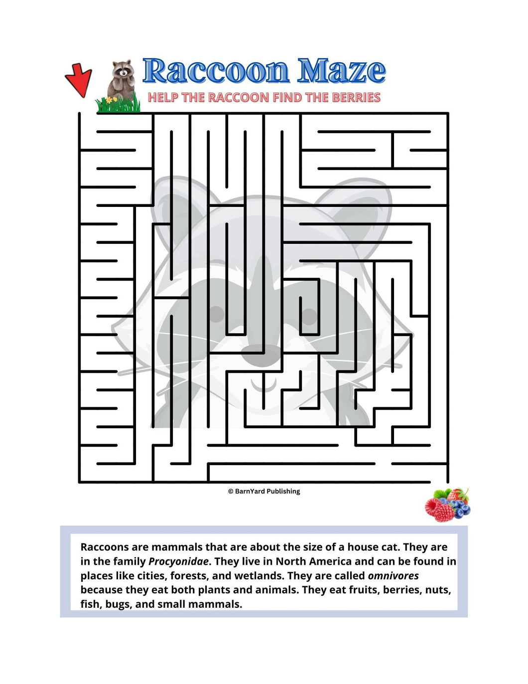 Printable Raccoon Maze ('Easy') - 1 page in color, 1 page B&W, 1 Answer Key - 8.5" x 11" - Fun Printable Maze For Kids