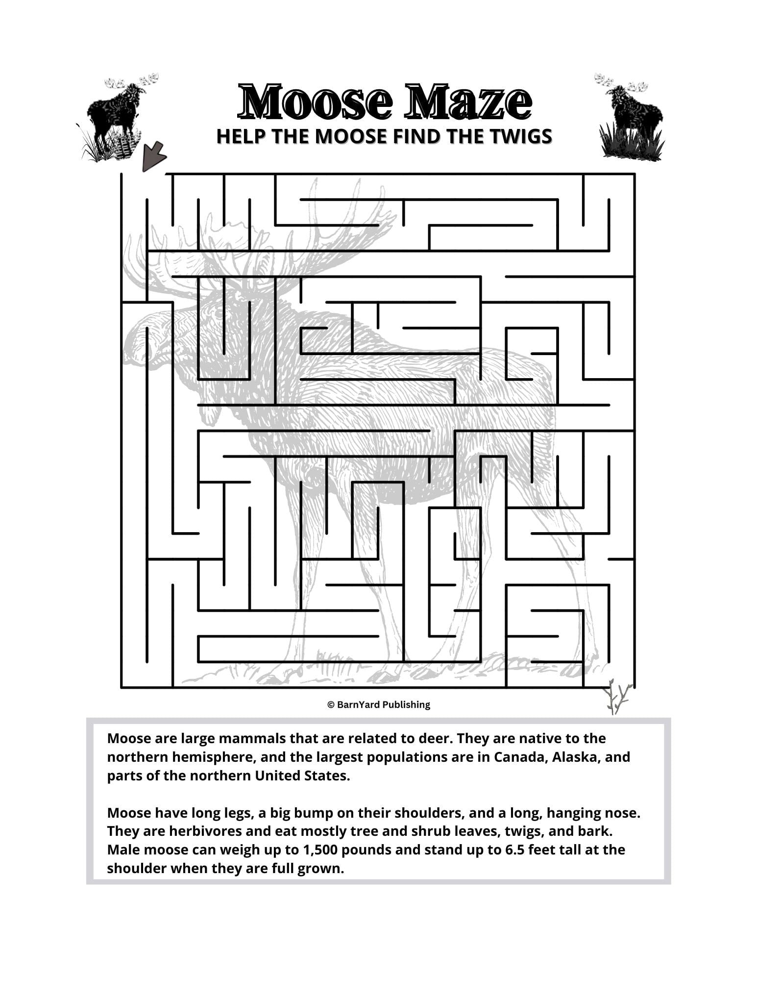 Printable  Moose Maze (Difficulty: Regular) - 1 page in color, 1 page B&W, 1 Answer Key - 8.5" x 11" - Fun Printable Maze For Kids!